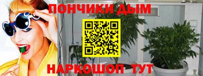 крисы Краснознаменск